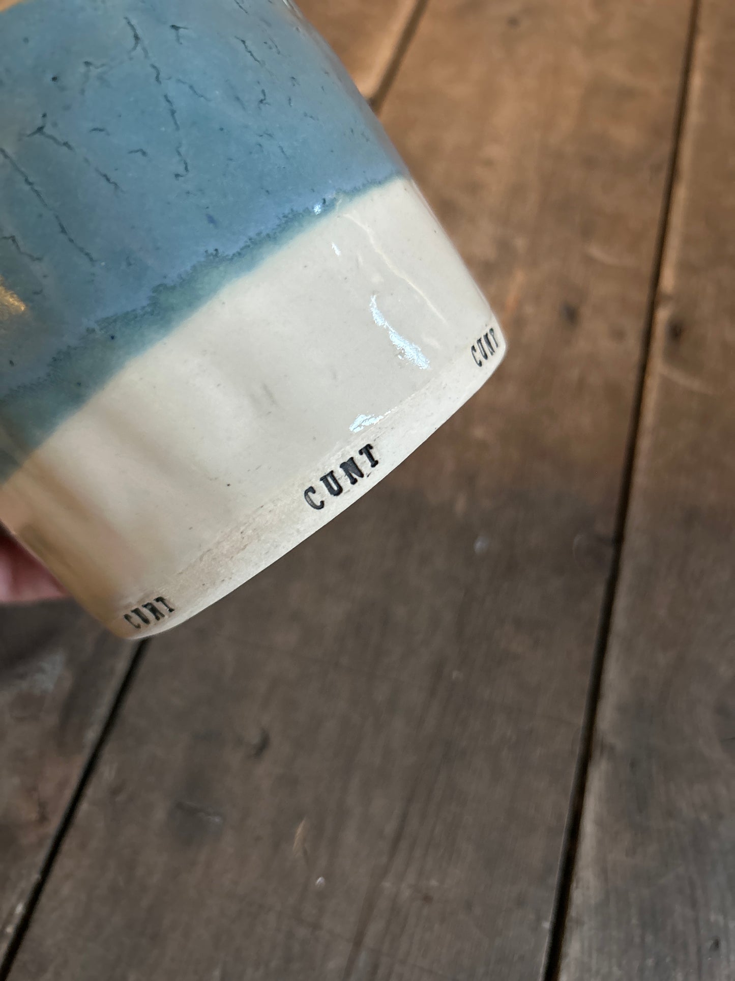 Lots of little cunts mug (larger capacity)